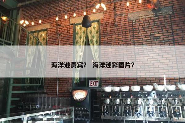 海洋谜贵宾？ 海洋迷彩图片？