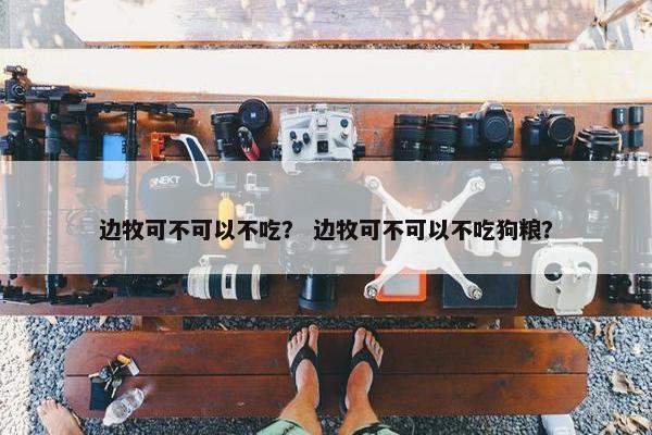 边牧可不可以不吃？ 边牧可不可以不吃狗粮？