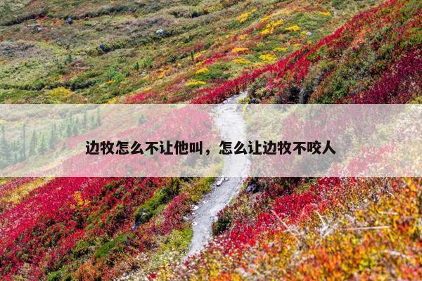 边牧怎么不让他叫，怎么让边牧不咬人
