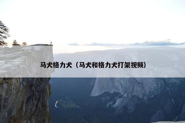 马犬格力犬（马犬和格力犬打架视频）