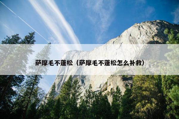 萨摩毛不蓬松（萨摩毛不蓬松怎么补救）