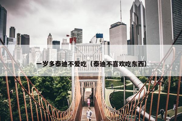 一岁多泰迪不爱吃（泰迪不喜欢吃东西）