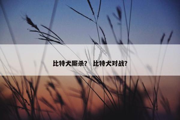 比特犬厮杀？ 比特犬对战？