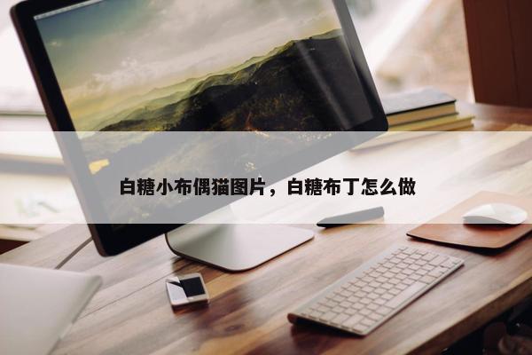 白糖小布偶猫图片，白糖布丁怎么做