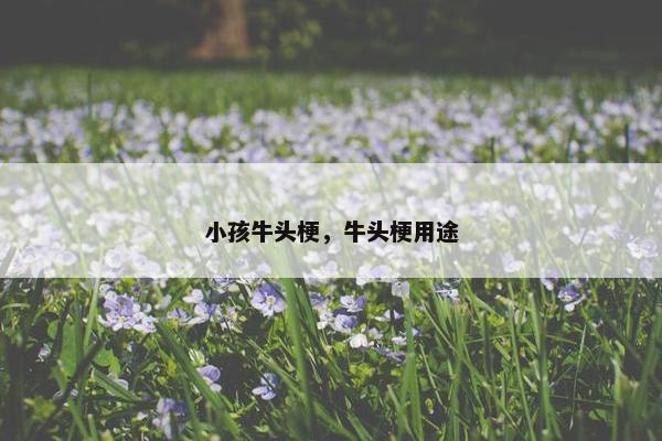 小孩牛头梗，牛头梗用途