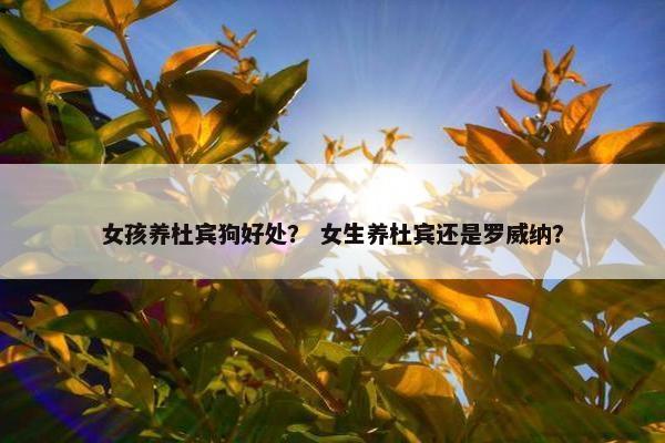 女孩养杜宾狗好处？ 女生养杜宾还是罗威纳？