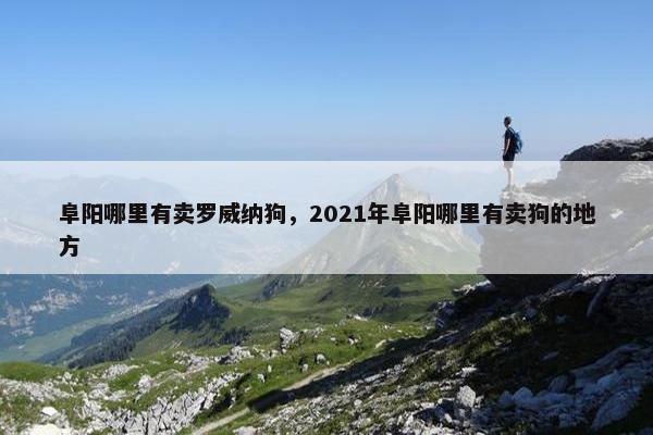 阜阳哪里有卖罗威纳狗，2021年阜阳哪里有卖狗的地方