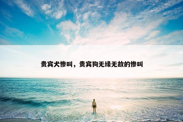贵宾犬惨叫，贵宾狗无缘无故的惨叫