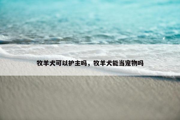 牧羊犬可以护主吗，牧羊犬能当宠物吗