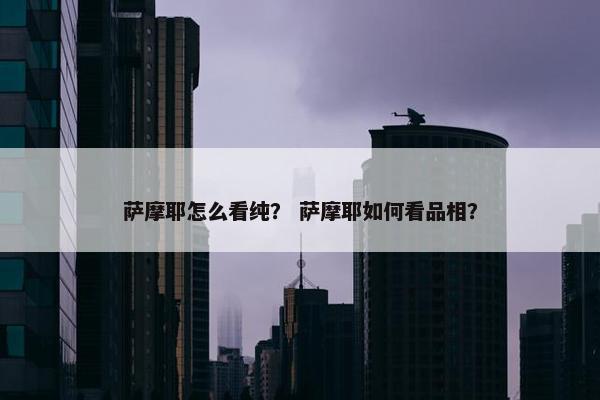 萨摩耶怎么看纯？ 萨摩耶如何看品相？