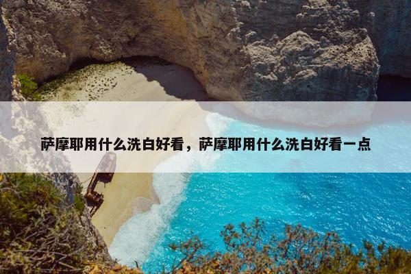 萨摩耶用什么洗白好看，萨摩耶用什么洗白好看一点