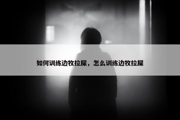 如何训练边牧拉屎，怎么训练边牧拉屎