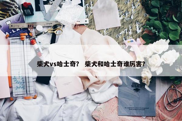 柴犬vs哈士奇？ 柴犬和哈士奇谁厉害？