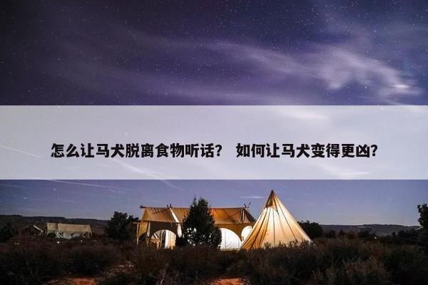 怎么让马犬脱离食物听话？ 如何让马犬变得更凶？
