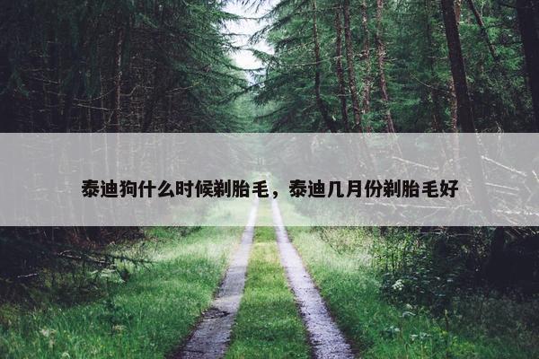 泰迪狗什么时候剃胎毛，泰迪几月份剃胎毛好