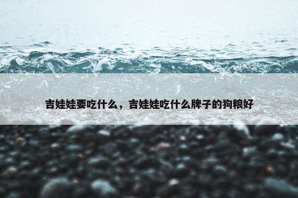 吉娃娃要吃什么，吉娃娃吃什么牌子的狗粮好