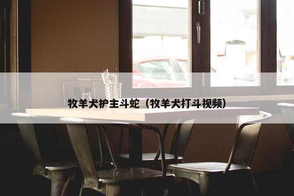 牧羊犬护主斗蛇（牧羊犬打斗视频）