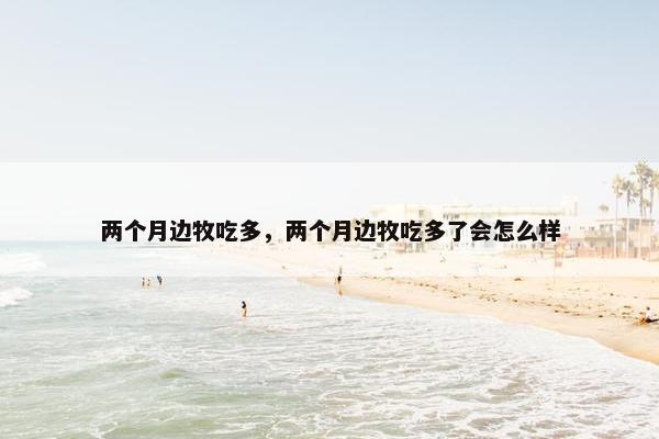 两个月边牧吃多，两个月边牧吃多了会怎么样