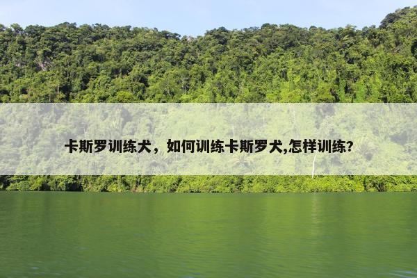 卡斯罗训练犬，如何训练卡斯罗犬,怎样训练?