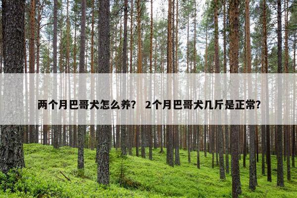 两个月巴哥犬怎么养？ 2个月巴哥犬几斤是正常？
