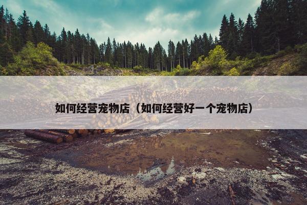 如何经营宠物店（如何经营好一个宠物店）