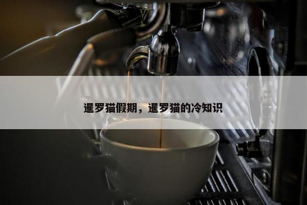 暹罗猫假期，暹罗猫的冷知识