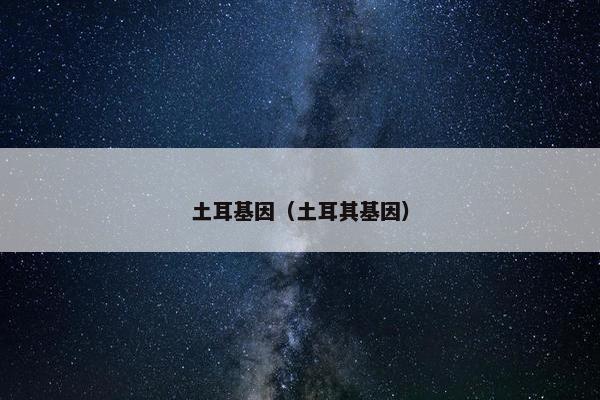 土耳基因（土耳其基因）