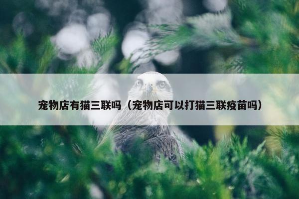 宠物店有猫三联吗（宠物店可以打猫三联疫苗吗）