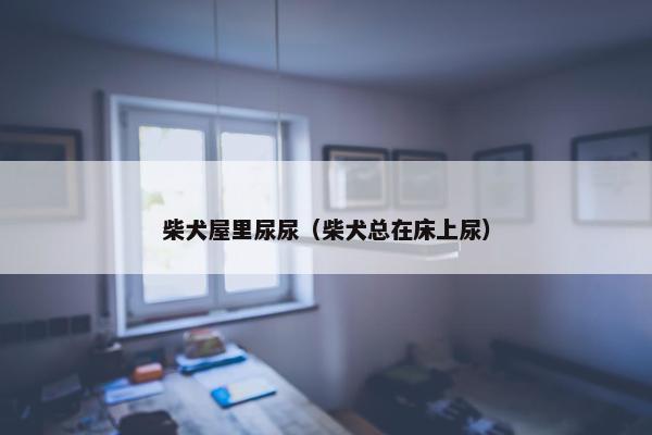 柴犬屋里尿尿（柴犬总在床上尿）