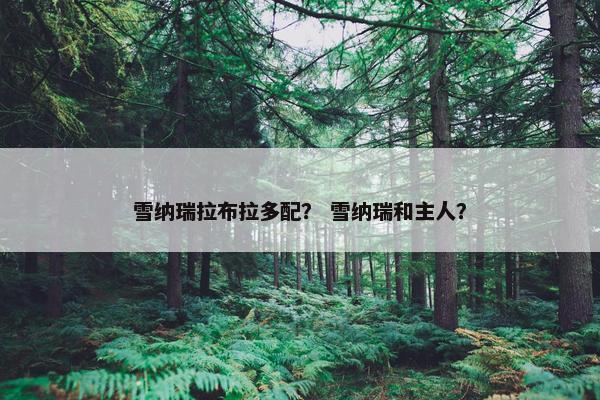 雪纳瑞拉布拉多配？ 雪纳瑞和主人？