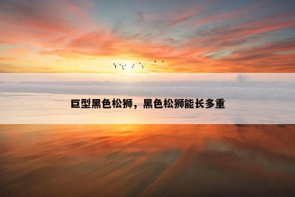 巨型黑色松狮，黑色松狮能长多重