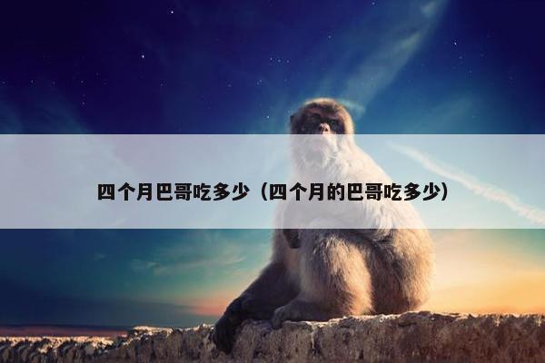 四个月巴哥吃多少（四个月的巴哥吃多少）