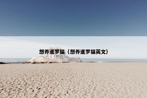 想养暹罗猫（想养暹罗猫英文）