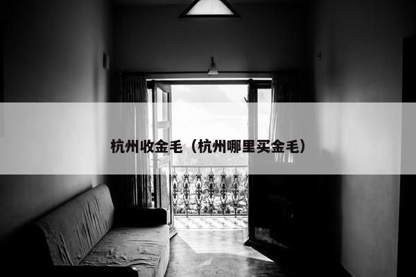 杭州收金毛（杭州哪里买金毛）