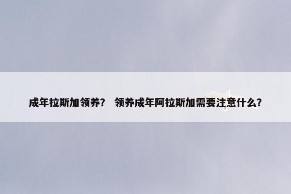 成年拉斯加领养？ 领养成年阿拉斯加需要注意什么？