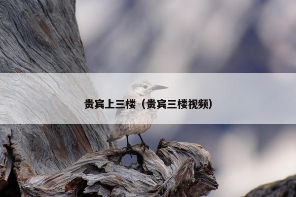 贵宾上三楼（贵宾三楼视频）