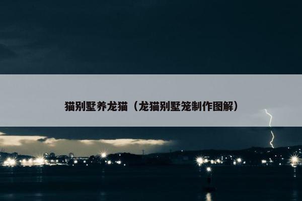 猫别墅养龙猫（龙猫别墅笼制作图解）