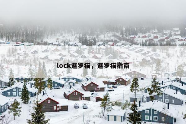 lock暹罗猫，暹罗猫指南