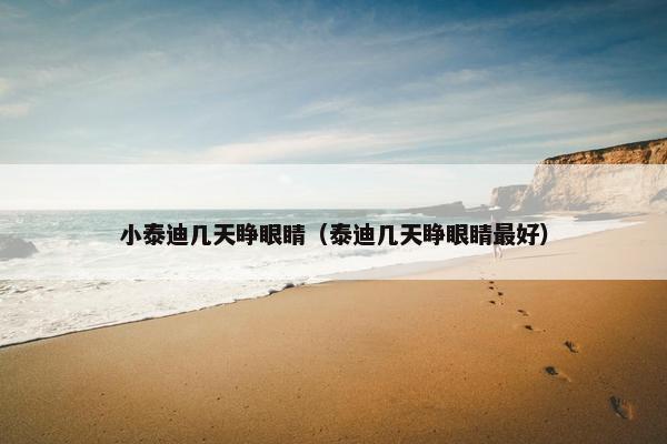 小泰迪几天睁眼睛（泰迪几天睁眼睛最好）