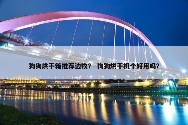 狗狗烘干箱推荐边牧？ 狗狗烘干机个好用吗？