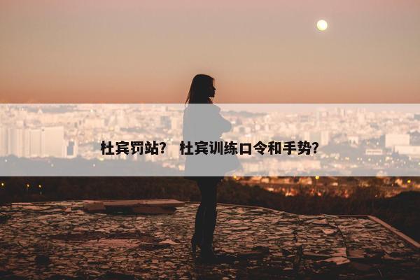 杜宾罚站？ 杜宾训练口令和手势？