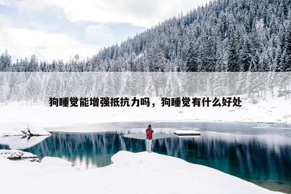 狗睡觉能增强抵抗力吗，狗睡觉有什么好处