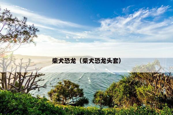 柴犬恐龙（柴犬恐龙头套）