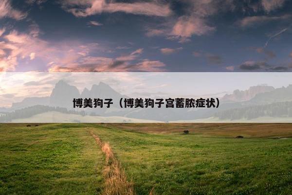 博美狗子（博美狗子宫蓄脓症状）