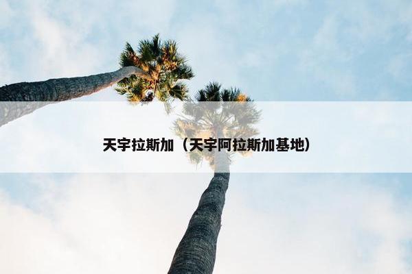 天宇拉斯加（天宇阿拉斯加基地）