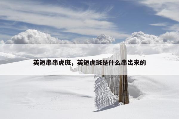 英短串串虎斑，英短虎斑是什么串出来的