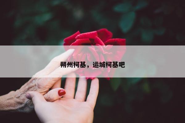 朔州柯基，运城柯基吧