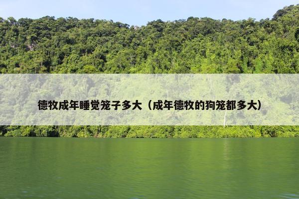 德牧成年睡觉笼子多大（成年德牧的狗笼都多大）