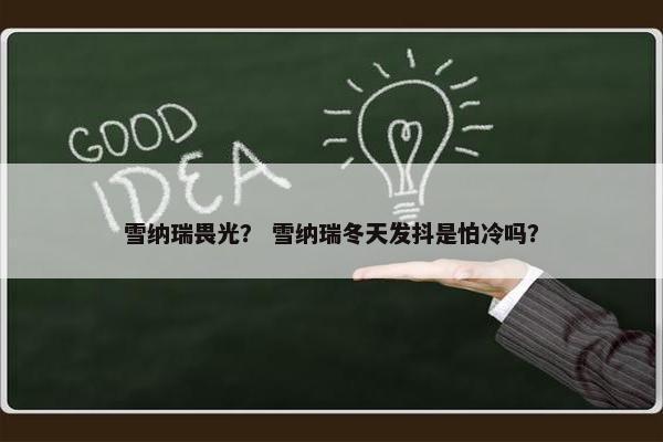 雪纳瑞畏光？ 雪纳瑞冬天发抖是怕冷吗？