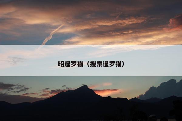 昭暹罗猫（搜索暹罗猫）